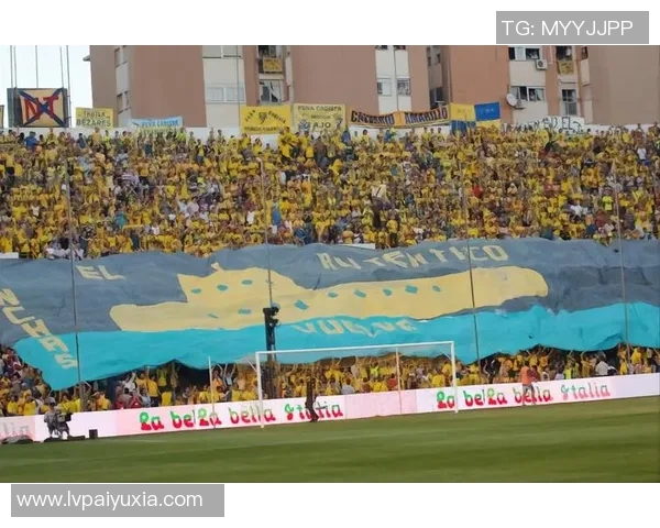 比利亚雷亚尔黄色潜水艇的辉煌历程与未来展望